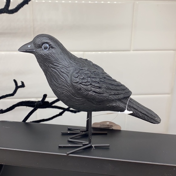 NWT Target 2021 Halloween Crow - Picture 3 of 8
